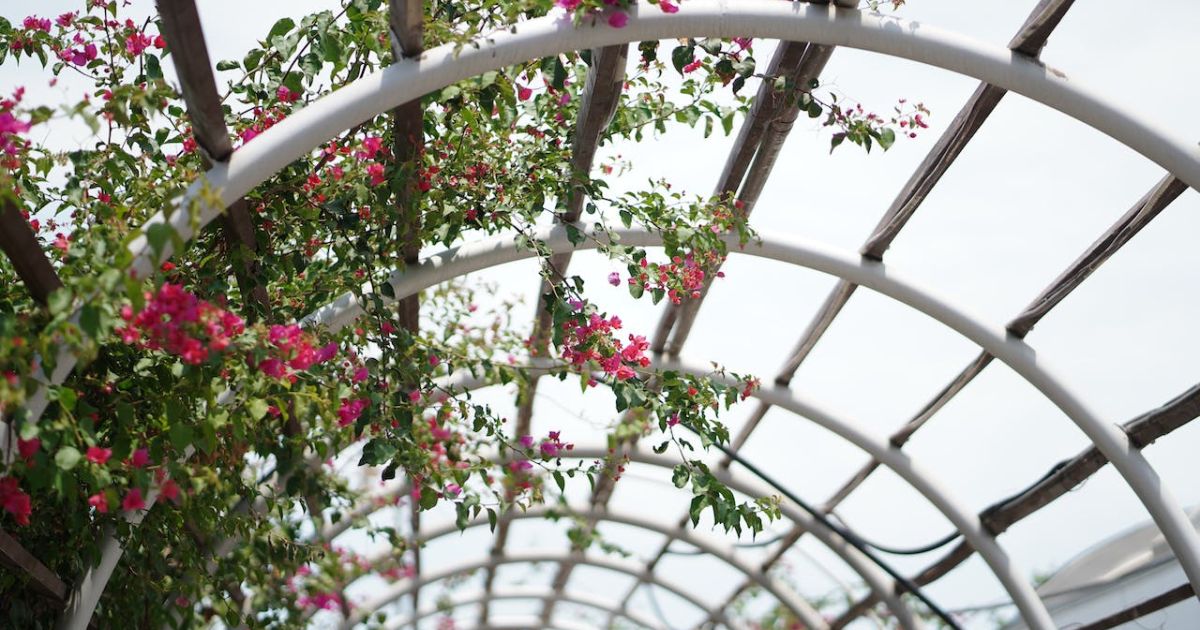 Eine Pergola für den eigenen Garten - das kann ein schönes zusätzliches Accessoires sein, das darüber hinaus für viele Zwecke genutzt werden kann. 