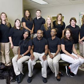 TLC Chiropractic, Inc. team