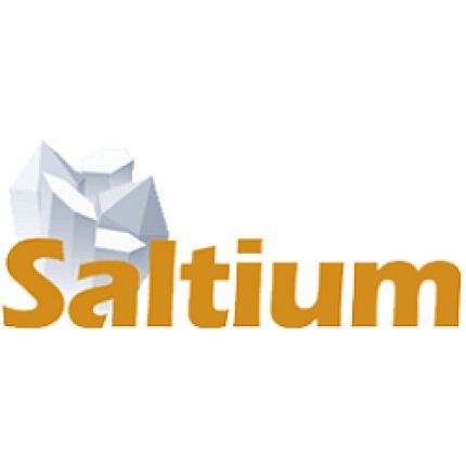 Logotipo de SALTIUM MADRID. Haloterapia en Madrid. Cuevas de Sal