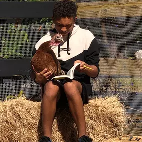 Bild von Country Day World School - Largo
