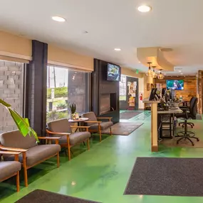 Modern waiting area inside Lightshade Dayton dispensary with seating, large windows, and a reception desk.