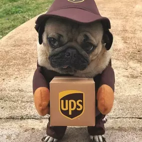 Bild von The UPS Store