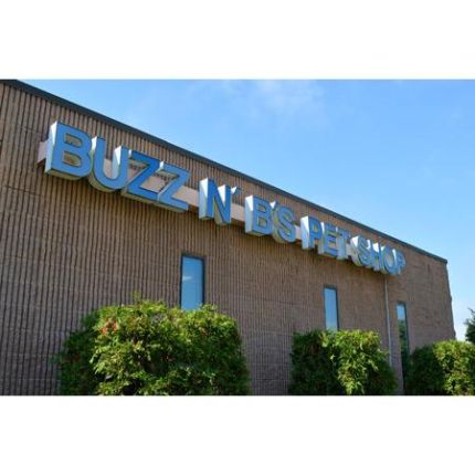 Logotipo de Buzz n B's Aquarium & Pet Shop