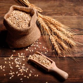 grains-of-wheat-in-bags-and-ears-2021-12-23-22-21-16-utc-1-scaled.jpg