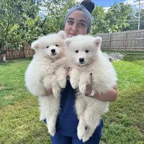 Bild von VCA Companion Animal Medical Center