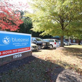 Bild von BluePearl Pet Hospital