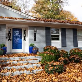 For Leaf Removal and Cleanup in Bernardsville, NJ click here.