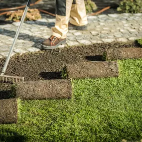 Landscaping Services Morris County NJ