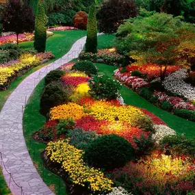 Landscape Designer