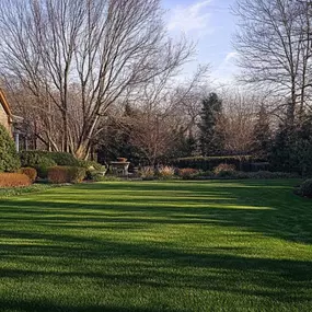 See how to revive your lawn after winter, click here