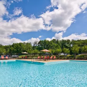 Sparkling Swimming Pool