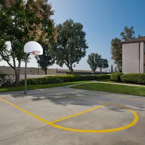 Bild von Sycamore Park Apartments
