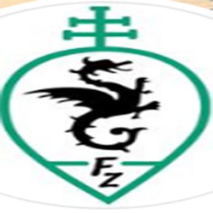 Logo od Farmacia Zongo