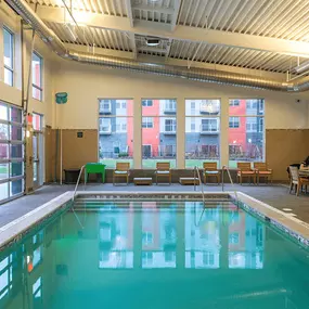 Indoor/Outdoor Pool