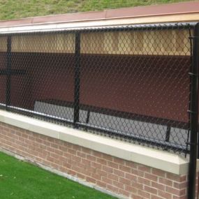 Dugout Fence