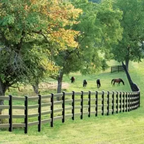 Ranch Fencing