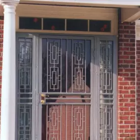 Security Storm Door