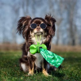 Dog poop clean up Sioux Falls