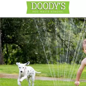 dog poop removal sioux falls sd