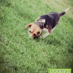 pet waste removal Sioux Falls
