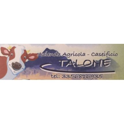 Logo fra Caseificio Talone