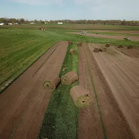 Bild von Helt's Turf Farms