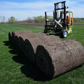 Bild von Helt's Turf Farms
