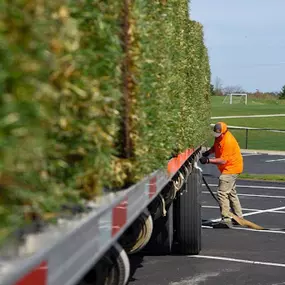 Bild von Helt's Turf Farms