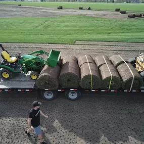 Bild von Helt's Turf Farms