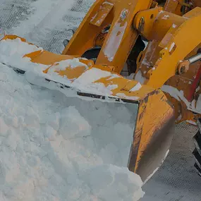 Bild von Shamrock Paving