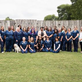 The caring and experienced team of VCA Todds Lane Animal Hospital!