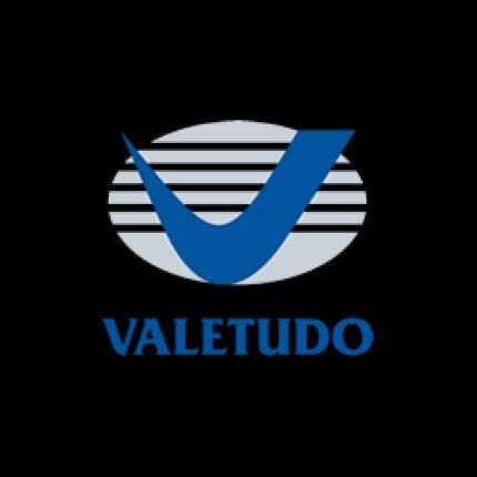 Logo od Valetudo