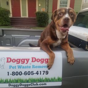 Bild von Doggy Doggz Pet Waste Removal