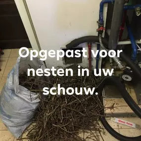 Ver Eecke Schoorsteenvegen_4