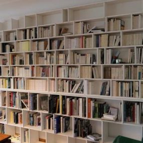 Bibliothèque_The perfect bookshelf