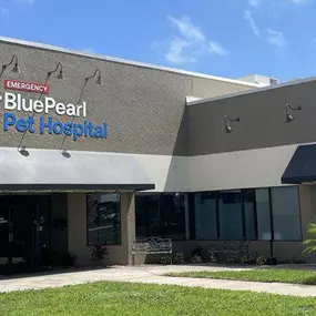 Bild von BluePearl Pet Hospital