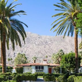 Bild von Avalon Hotel & Bungalows Palm Springs
