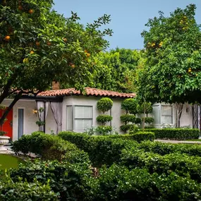 Bild von Avalon Hotel & Bungalows Palm Springs
