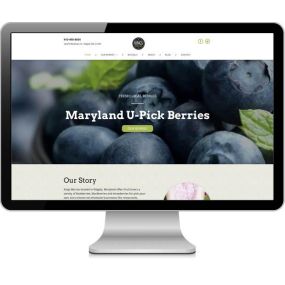 Kings Berries - farm website design