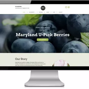 Kings Berries - farm website design