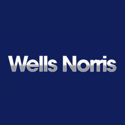 Logo from Wells Norris Tire & Auto