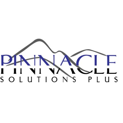 Logo from Pinnacle Solutions Plus: Merchant Services + Reputation Management