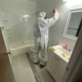 We are a Professional Mold Inspection Company