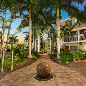 Lush palm trees all around