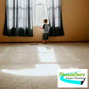 When it comes to your carpet cleaning needs, we are the best local carpet cleaners to contact!