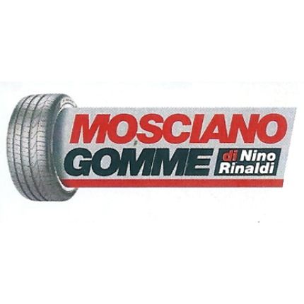 Logo von Mosciano Gomme