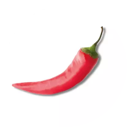 Logo da Pepperworkx Personeelsdiensten