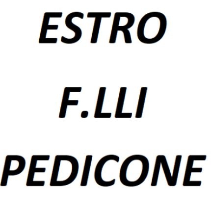 Logo da Estro - F.lli Pedicone