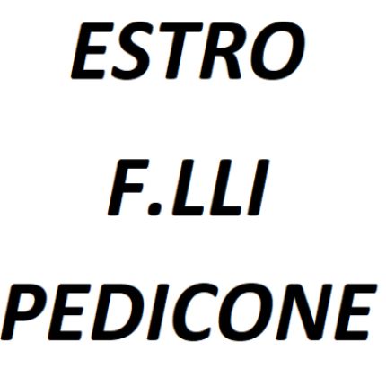 Logotyp från Estro - F.lli Pedicone