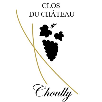 Logo de Clos du Château - Dugerdil Lionel & Nathalie